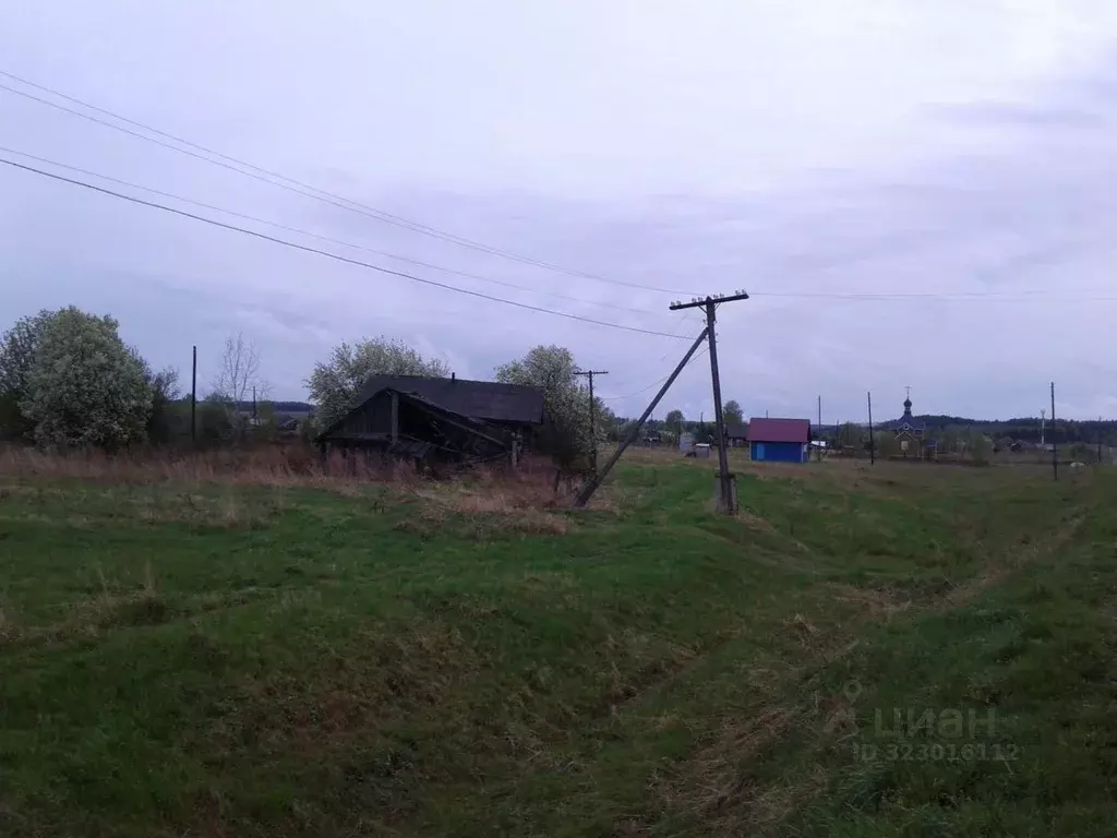 Участок в Пермский край, Карагайский муниципальный округ, с. ... - Фото 1