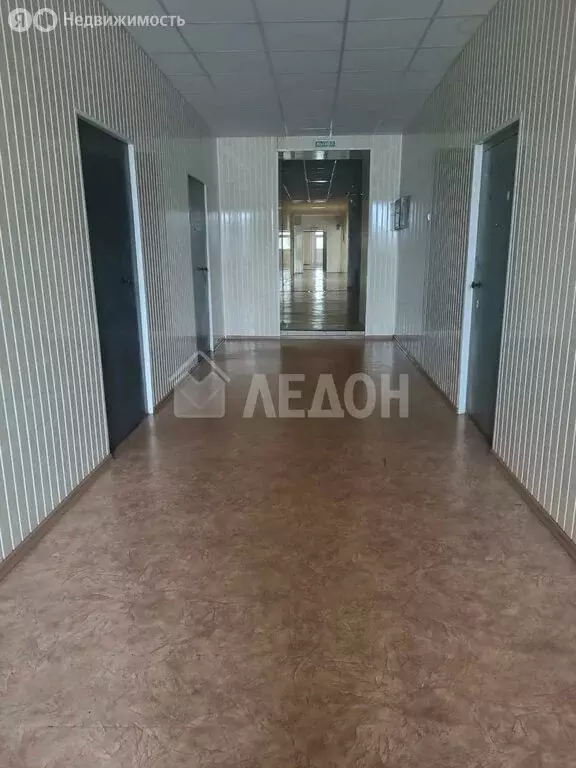 Офис (32 м) - Фото 2