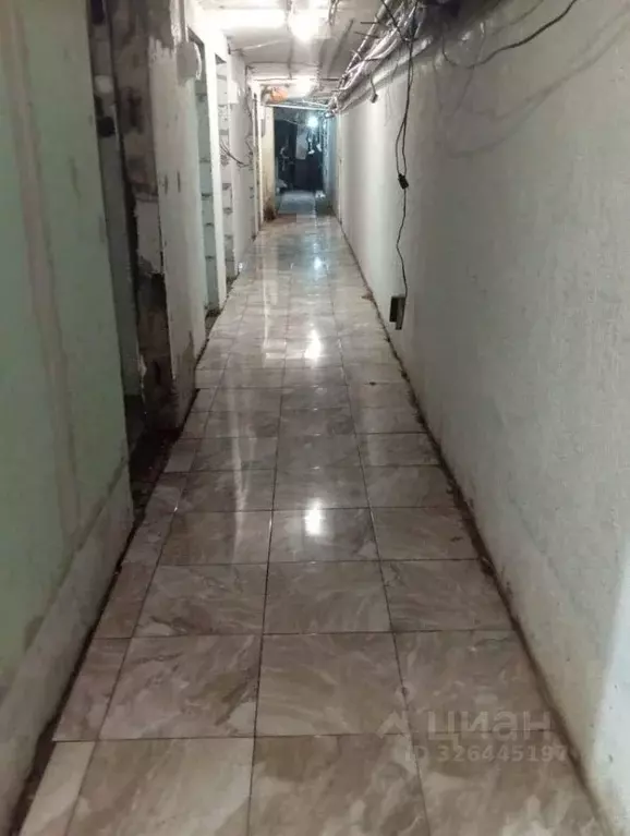 Помещение свободного назначения в Челябинская область, Челябинск ул. ... - Фото 1