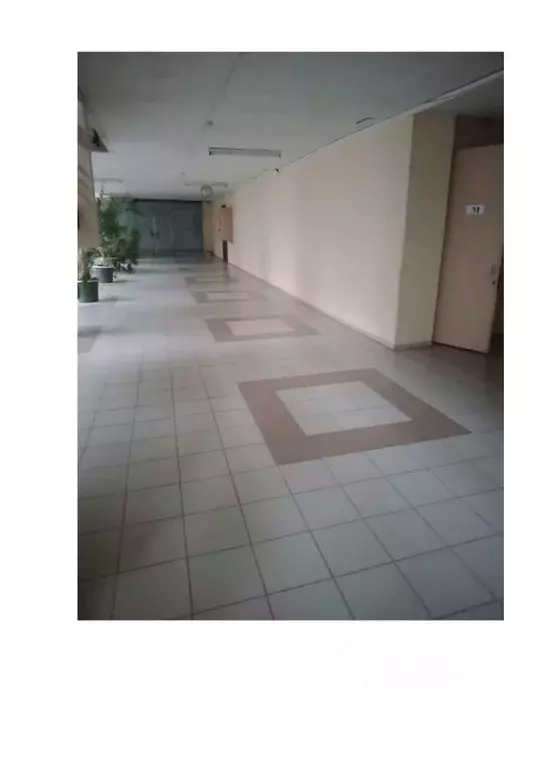 Помещение свободного назначения в Новосибирская область, Новосибирский ... - Фото 2