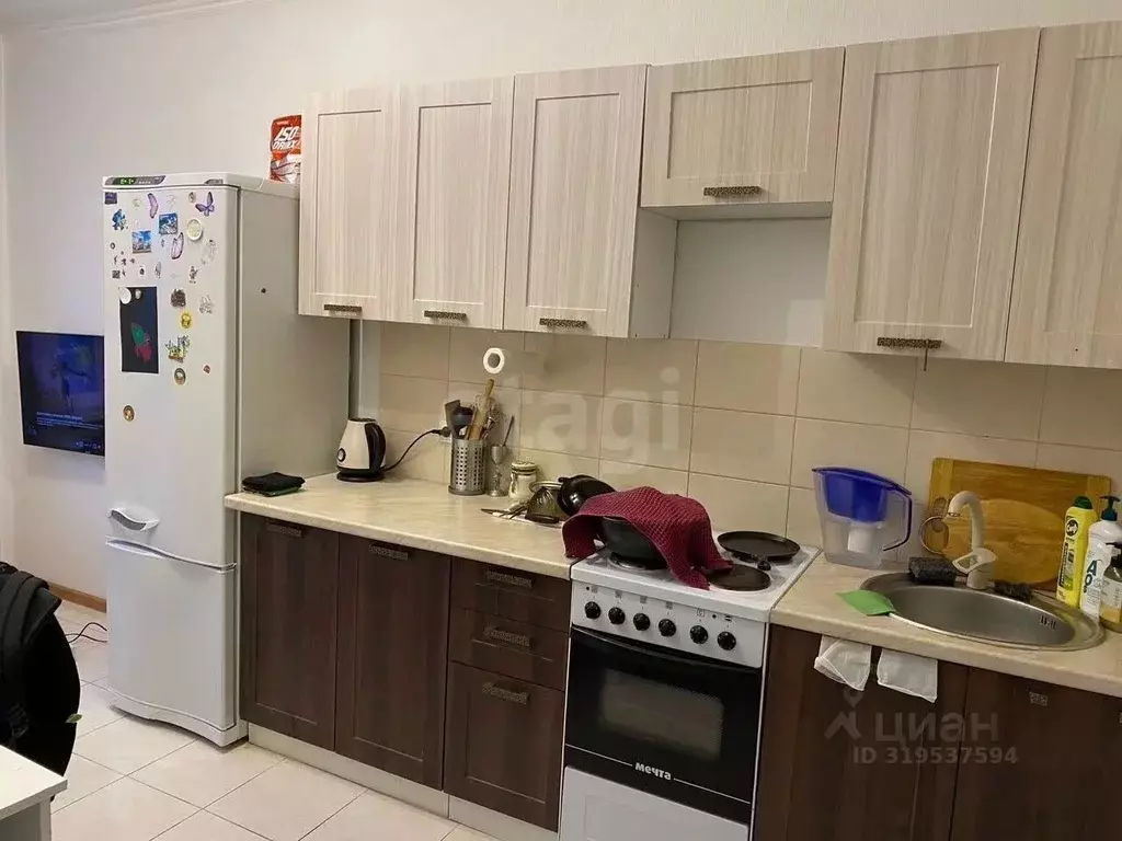 1-к кв. Калужская область, Совхоз Боровский с/пос, д. Кабицыно, ... - Фото 1