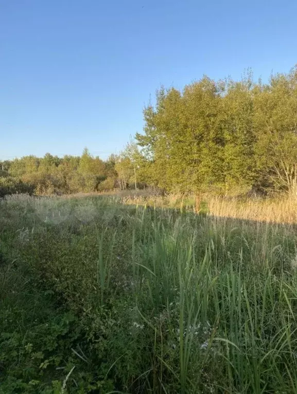 Участок в Московская область, Ступино городской округ, с. Шугарово  ... - Фото 0