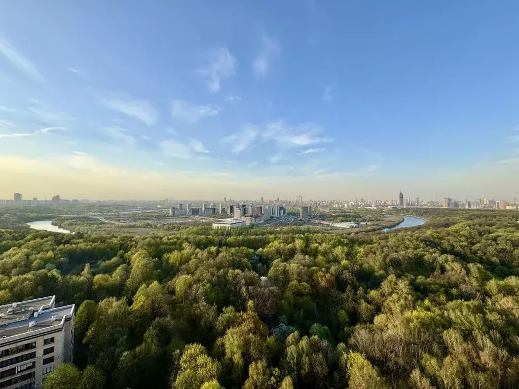 3-к кв. Москва Малая Филевская ул., 40к1 (146.1 м) - Фото 2