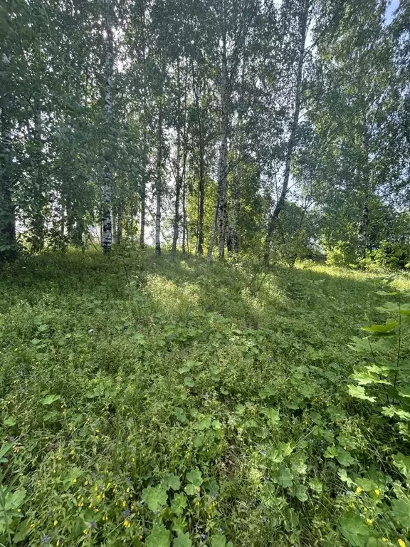 Участок в Ленинградская область, Всеволожский район, Колтушское ... - Фото 0