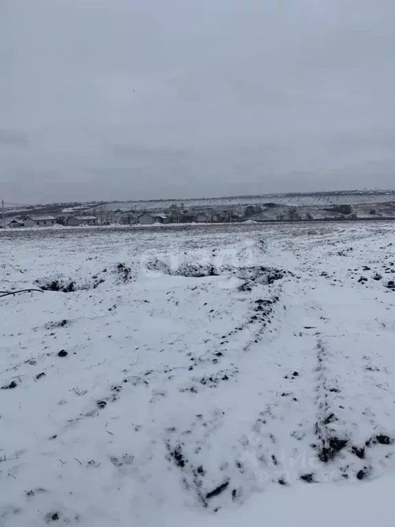 Участок в Белгородская область, Белгородский район, Головинское с/пос, ... - Фото 1