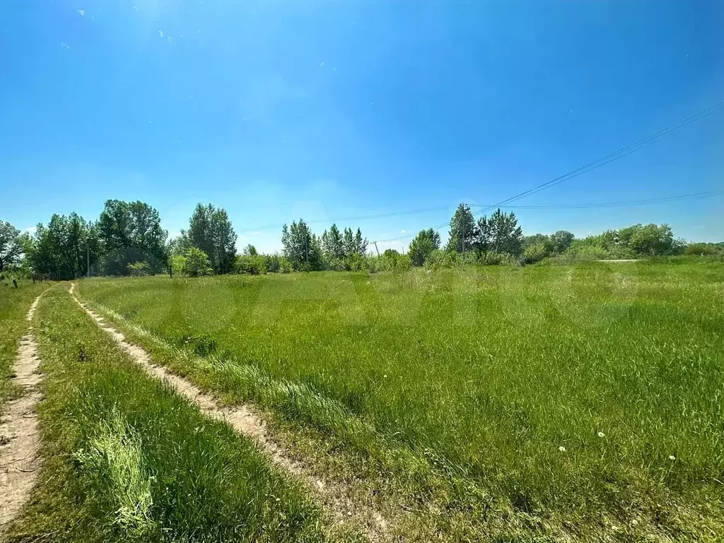 Участок 6 сот. (СНТ, ДНП) - Фото 1
