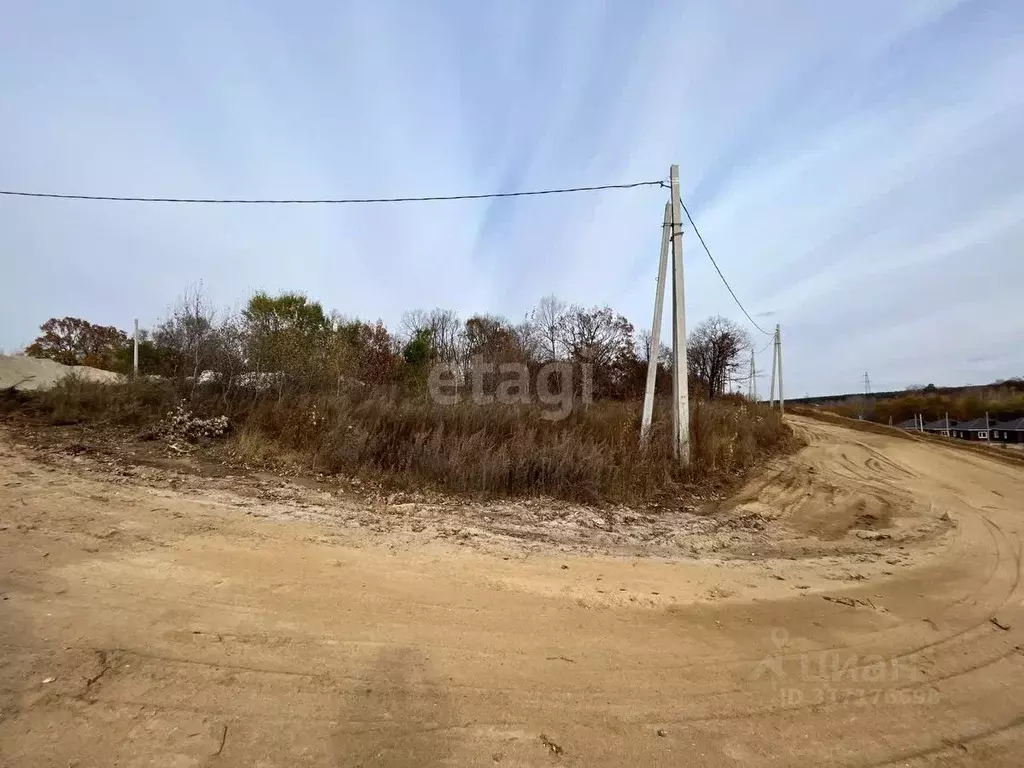 Участок в Амурская область, Благовещенский район, с. Чигири  (15.0 ... - Фото 1