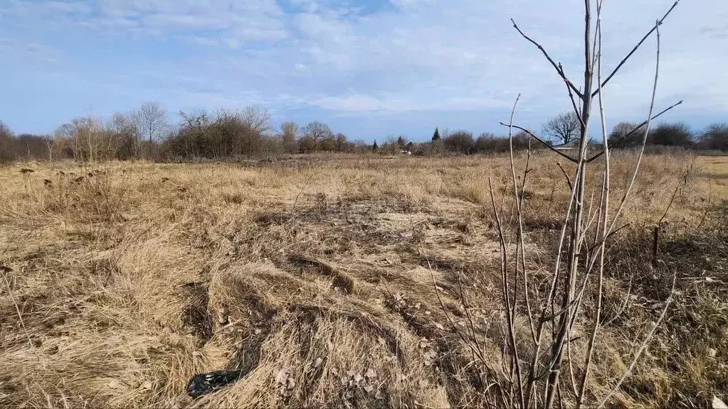 Участок в Белгородская область, Белгородский район, Беломестненское ... - Фото 1