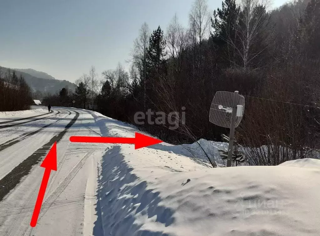 Участок в Алтай, Майминский район, Шарара СТ 39 (15.5 сот.) - Фото 0
