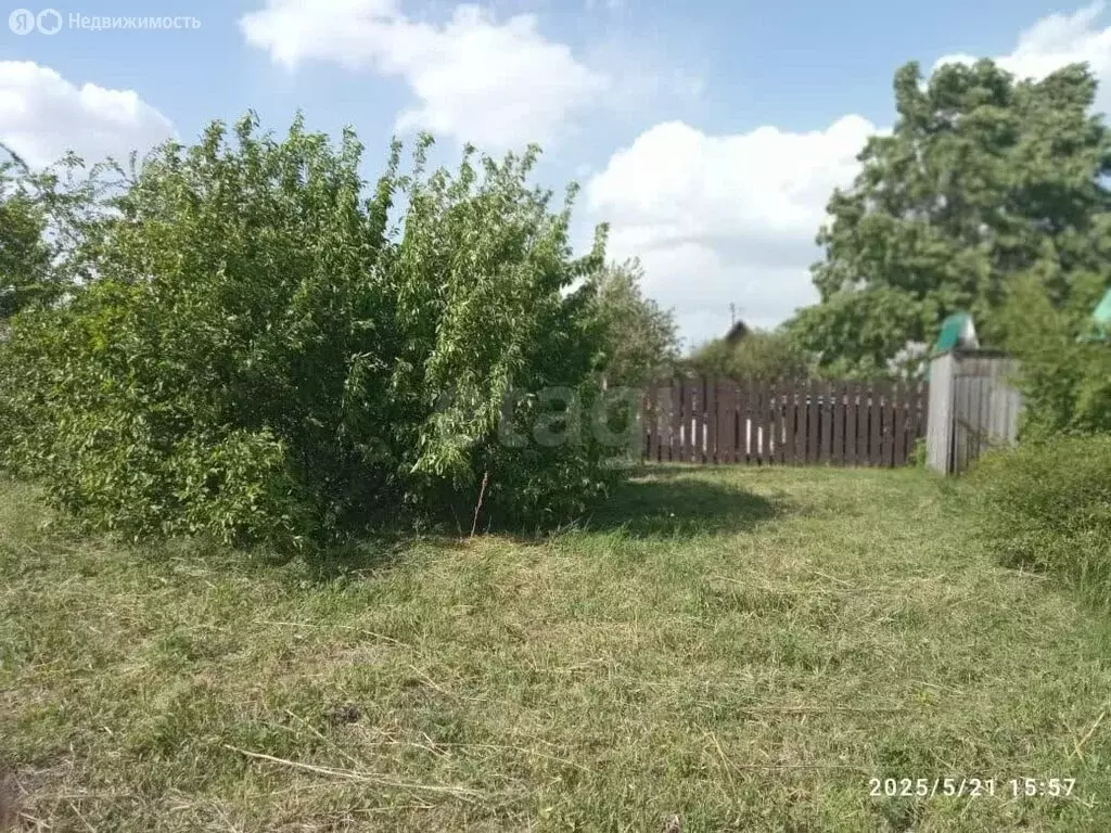 Участок в Омск, садоводческое некоммерческое товарищество Звёздочка, ... - Фото 0