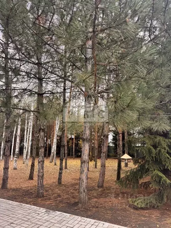 Участок в Саратовская область, Саратов ул. Имени Е.Г. Челиева, 10 ... - Фото 1