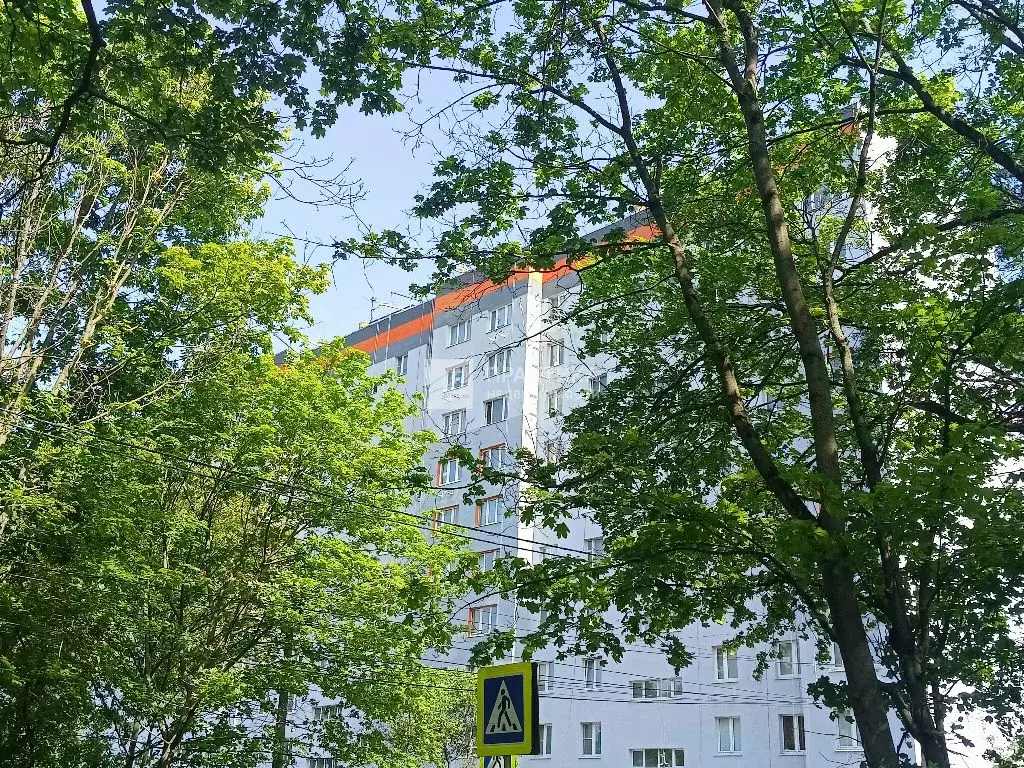 Продается 1-комнатная квартира - Фото 1