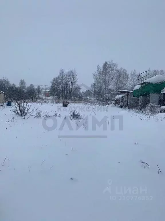 Участок в Калужская область, Перемышльский район, Большие Козлы с/пос, ... - Фото 2