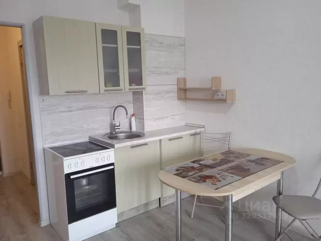 Студия Псковская область, Псковский муниципальный округ, Писковичская ... - Фото 1