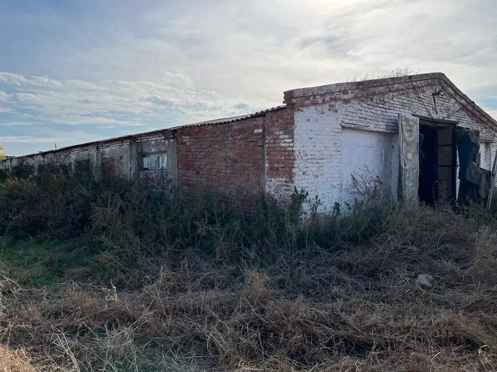 Помещение свободного назначения в Омская область, Таврический район, ... - Фото 0