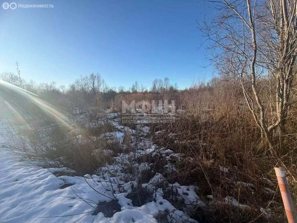 Участок в Кондопожский район, Янишпольское сельское поселение, село ... - Фото 1