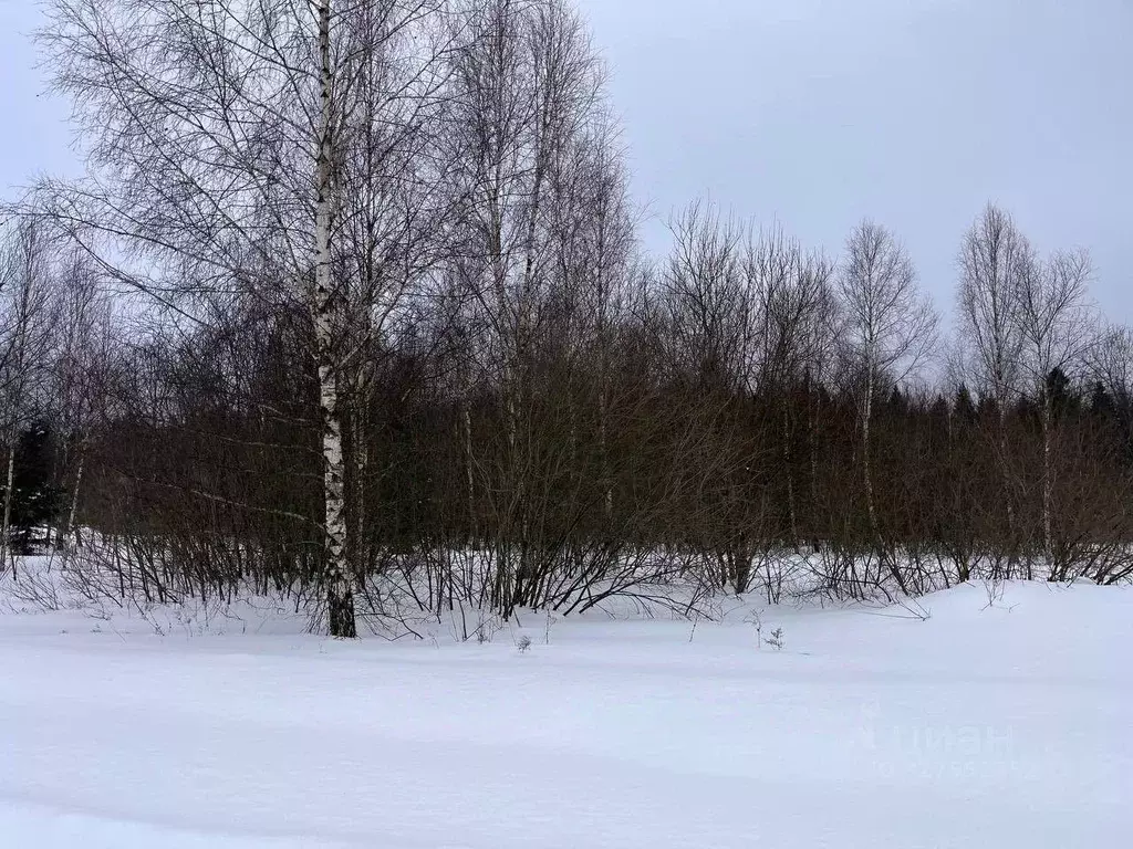 Участок в Москва Европейская долина-2 ДНП, пер. 3-й Двинский, 16 (9.11 ... - Фото 1
