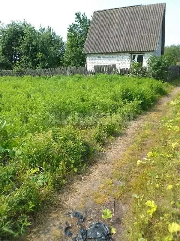 Участок в Брянск, Розовая улица (6.2 м) - Фото 2