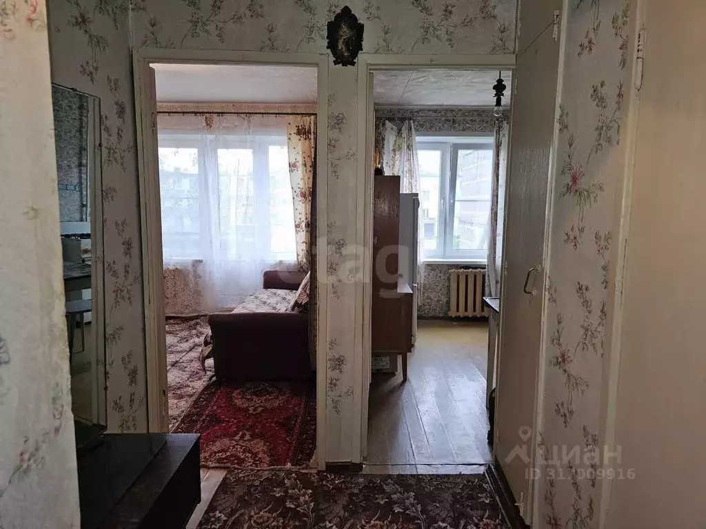 1-к кв. Псковская область, Остров Строитель мкр, 9 (32.4 м) - Фото 1