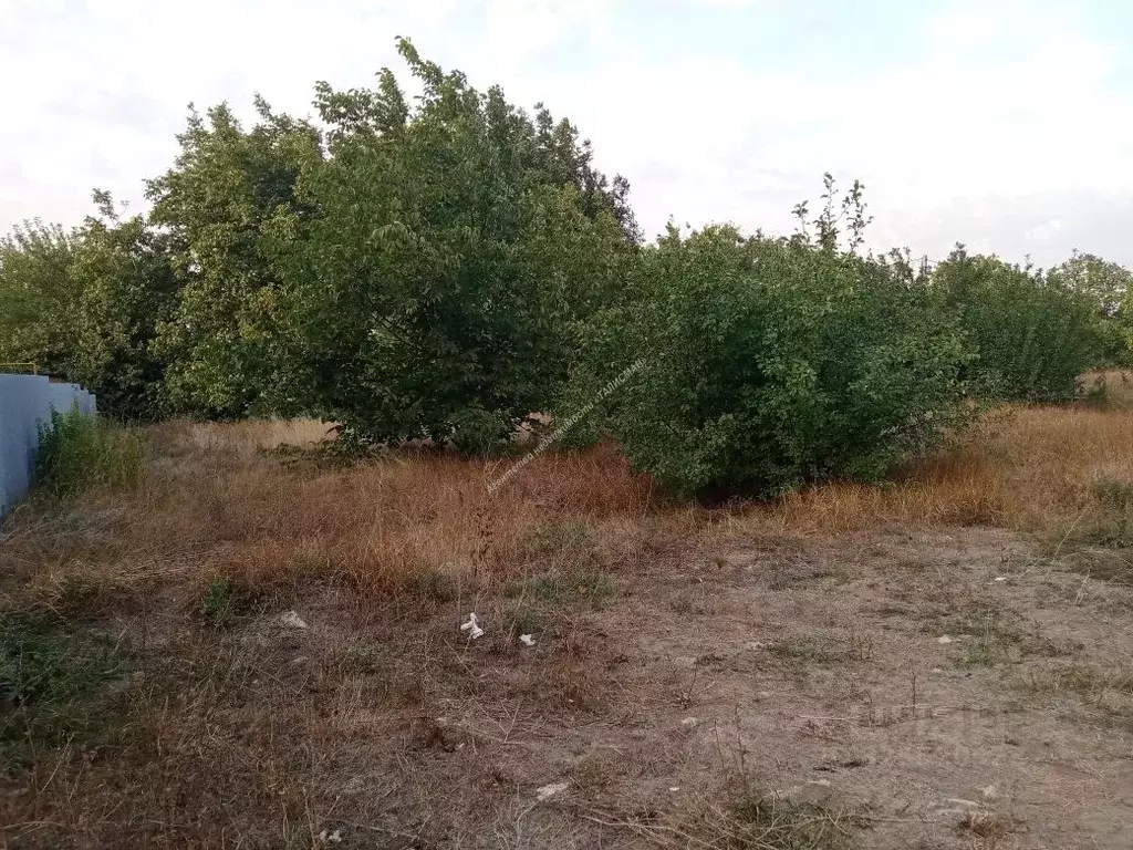 Участок в Ростовская область, Неклиновский район, с. Николаевка ул. ... - Фото 1