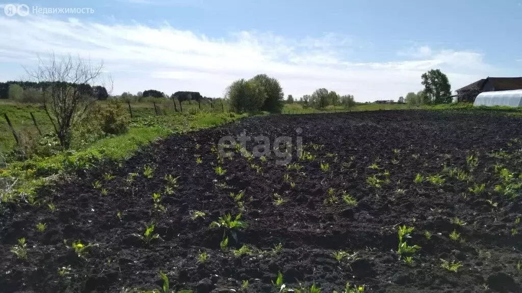Участок в Бирский район, Бурновский сельсовет, село Старобурново (10 ... - Фото 0