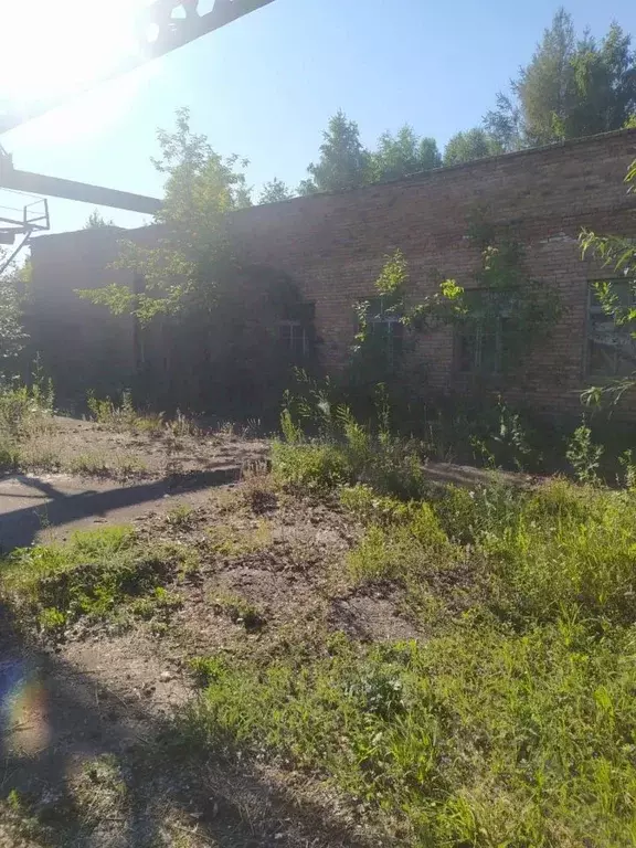 Помещение свободного назначения в Красноярский край, Назарово Лесная ... - Фото 2