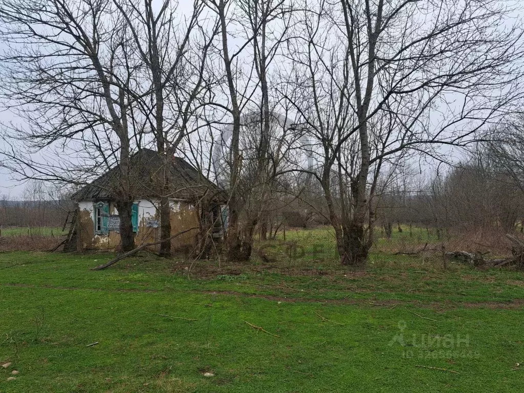 Участок в Краснодарский край, Апшеронский район, Новополянское с/пос, ... - Фото 2