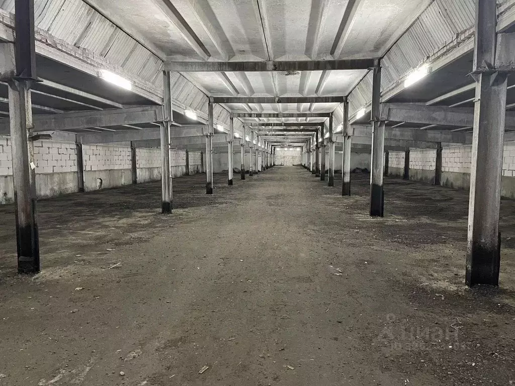 Склад в Ленинградская область, Всеволожский район, Романовское с/пос, ... - Фото 1