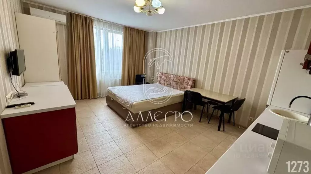 Студия Севастополь просп. Античный, 20А (25.0 м) - Фото 2