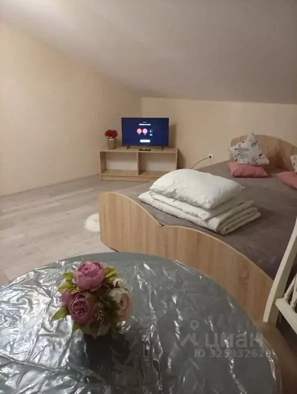 Студия Москва Мосрентген поселение, д. Дудкино, Круиз СНТ, 239 (28.0 ... - Фото 2