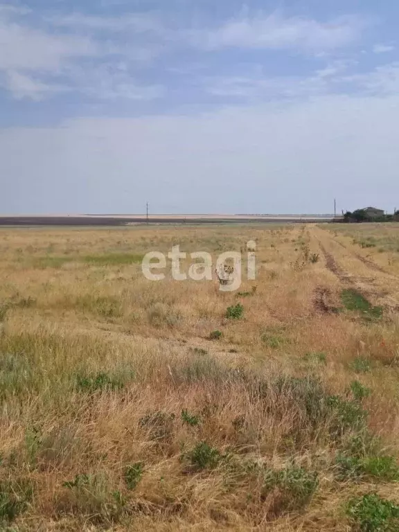 Участок в Крым, Черноморский район, с. Новоивановка ул. Дорожная (7.0 ... - Фото 0