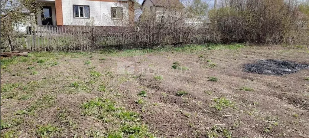 Участок в Алтайский край, Барнаул городской округ, пос. Новомихайловка ... - Фото 1