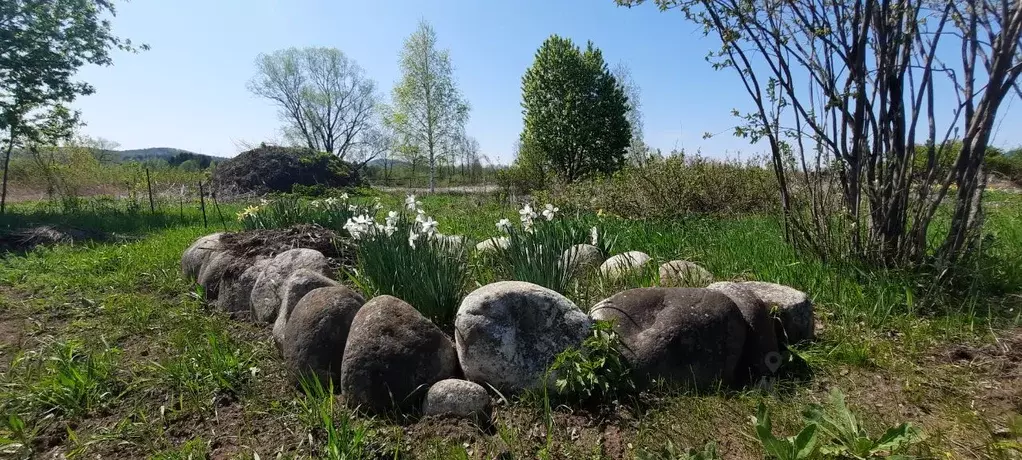 Участок в Алтай, Турочакский район, с. Озеро-Куреево Береговая ул. ... - Фото 0