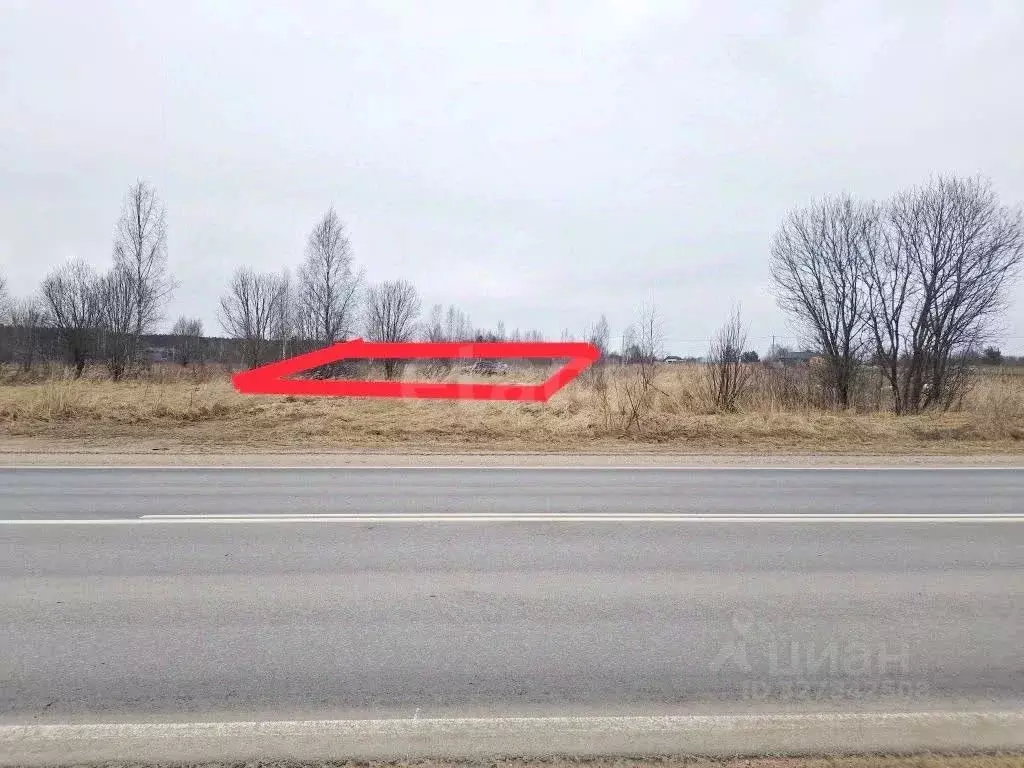 Участок в Псковская область, Печорский муниципальный округ, д. Калки  ... - Фото 1