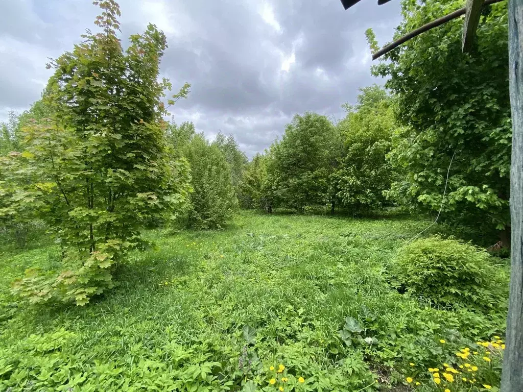 Участок в Тульская область, Тула пос. Скуратовский, пос. ... - Фото 1