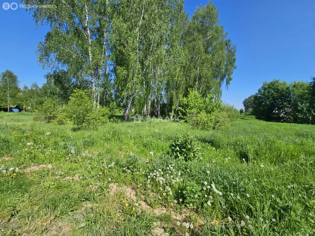 Участок в Московская область, городской округ Воскресенск, деревня ... - Фото 2