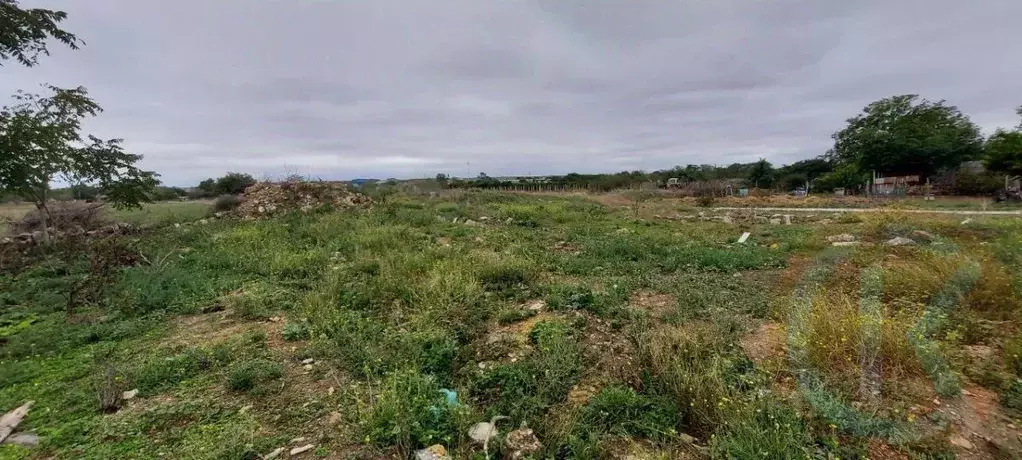 Участок в Крым, Черноморский район, Окуневское с/пос, с. ... - Фото 1