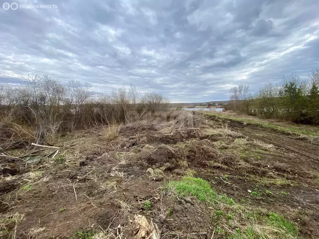 Участок в Челябинская область, Аргаяшский муниципальный округ, деревня ... - Фото 2