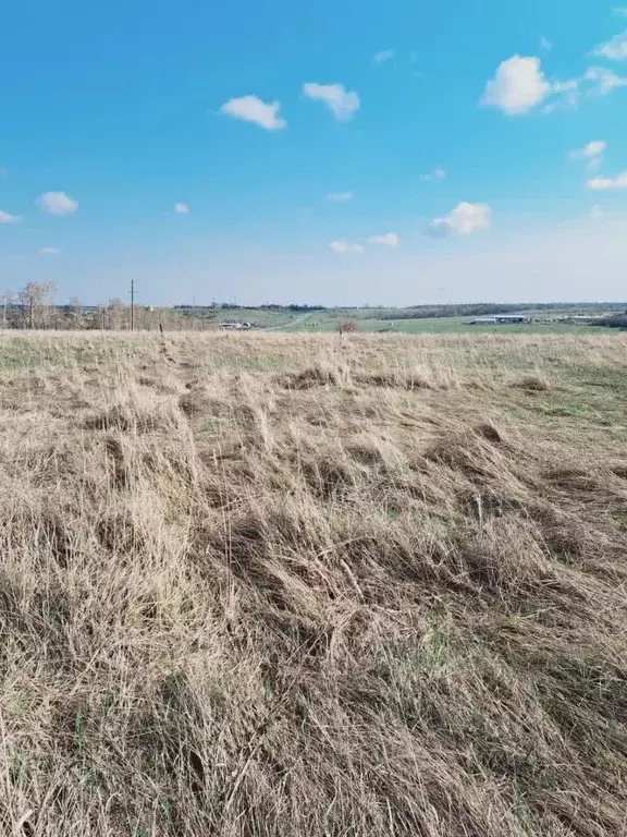 Участок в Саратовская область, Балашовский район, Хоперское ... - Фото 1