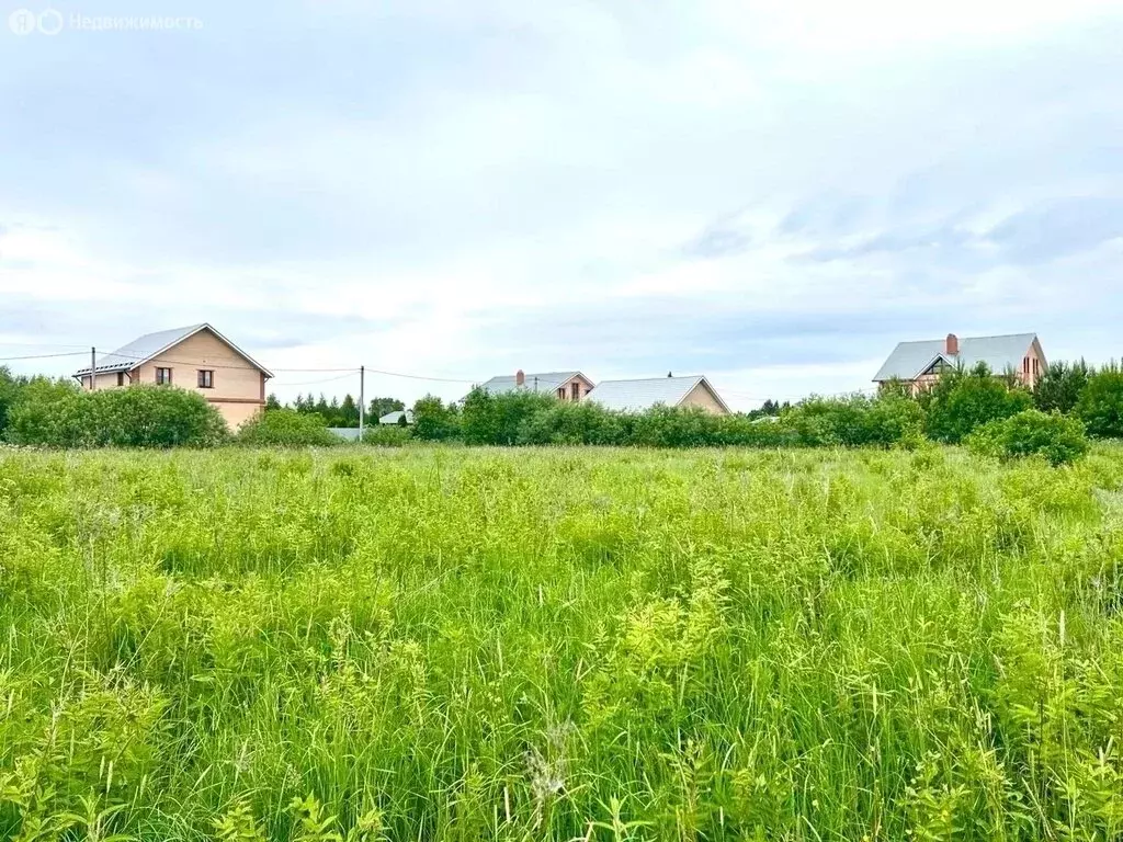 Участок в Вологодский муниципальный округ, деревня Кишкино ... - Фото 2