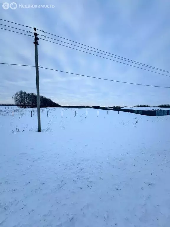 Участок в Янга-Салское сельское поселение, деревня Каенсар (20 м) - Фото 1