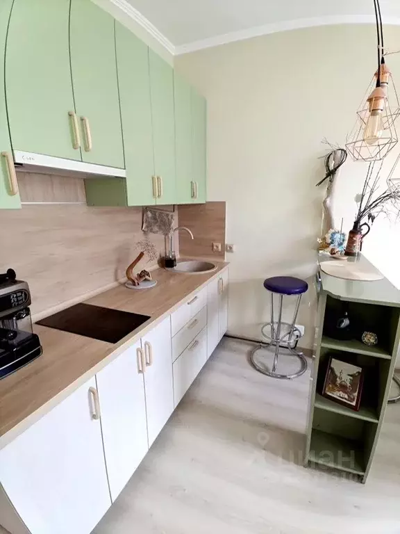 Студия Ленинградская область, Сертолово Всеволожский район, ... - Фото 2