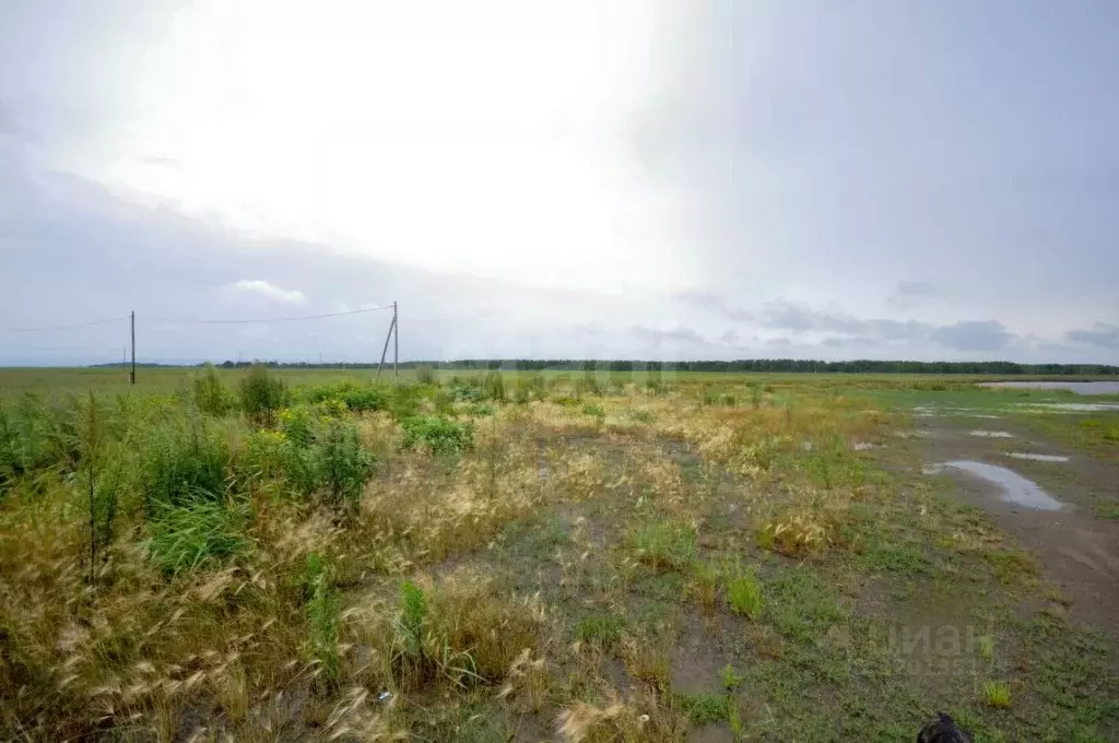 Участок в Сахалинская область, Анивский городской округ, с. Песчанское ... - Фото 0