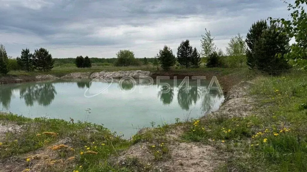 Участок в Тюменская область, Тюменский район, Новокаменский кп ул. ... - Фото 1
