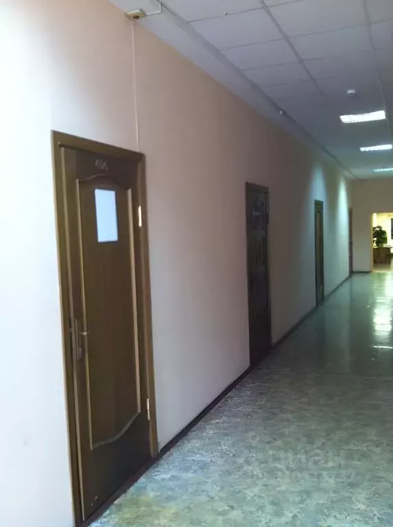 Офис в Вологодская область, Вологда Предтеченская ул. (33 м) - Фото 1