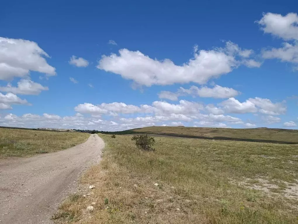 Участок в Крым, Белогорский район, Вишенское с/пос, с. Белая Скала ул. ... - Фото 2
