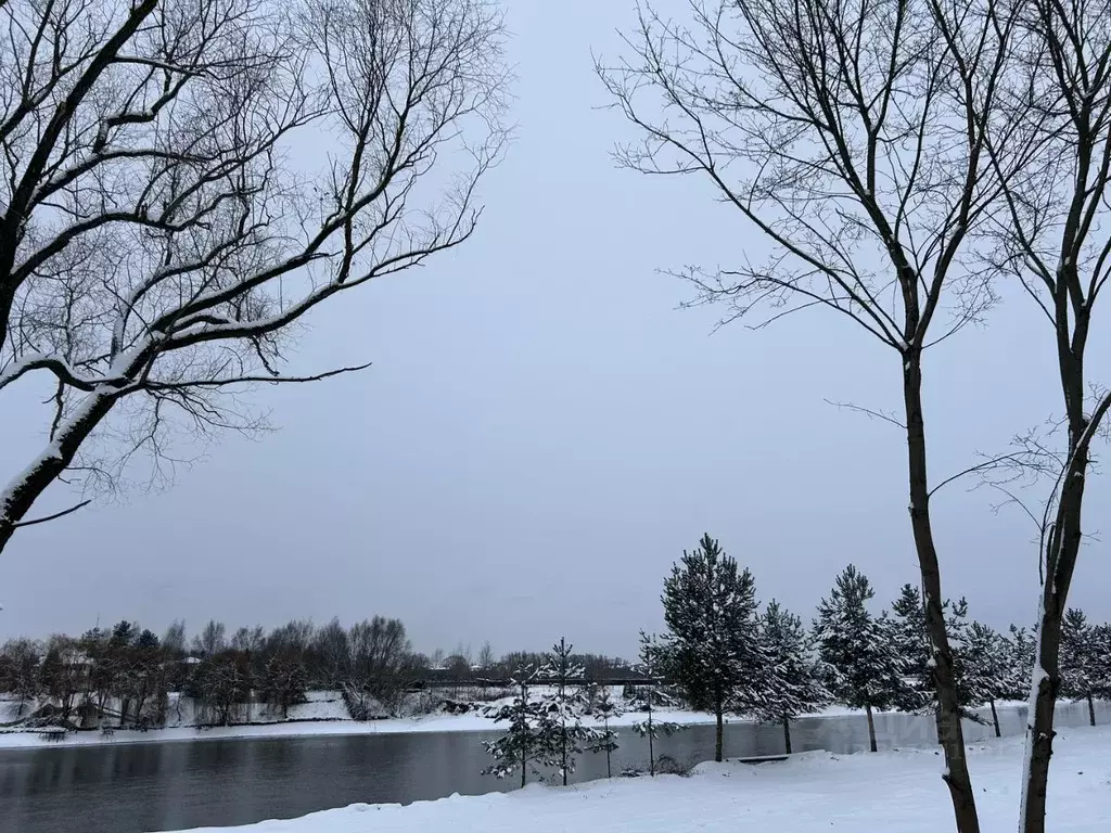 Участок в Московская область, Люберцы городской округ, с. Верхнее ... - Фото 1