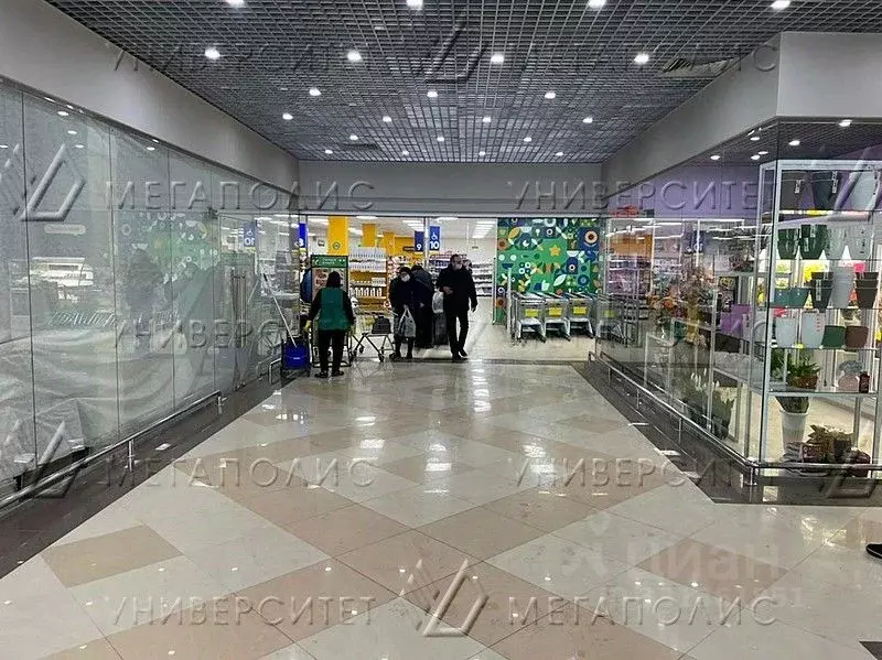 Помещение свободного назначения в Москва Филевский бул., 10 (100 м) - Фото 2