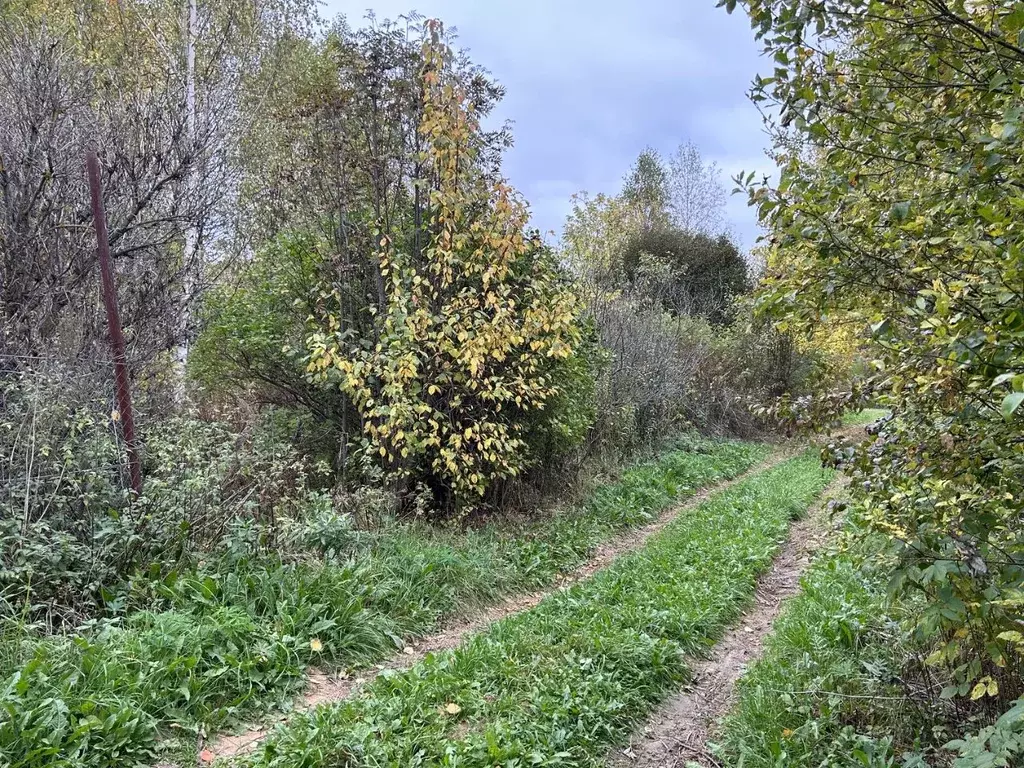 Участок в Владимирская область, Александров Марино СНТ,  (12.0 сот.) - Фото 0