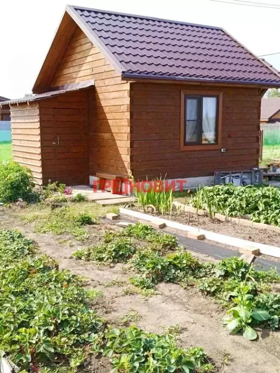 Участок в Новосибирская область, Искитимский район, Быстровский ... - Фото 0